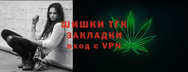гашик Аркадак