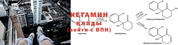 прущие крисы Арсеньев