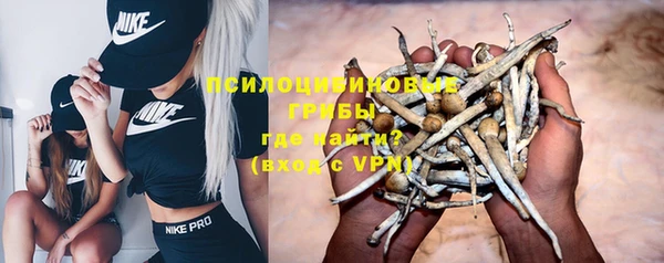 гашик Аркадак