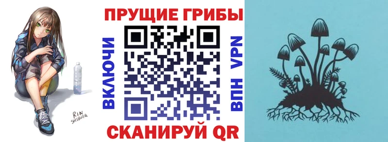 Псилоцибиновые грибы Psilocybe  где можно купить   Устюжна 